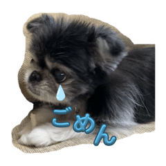 popo chan  2