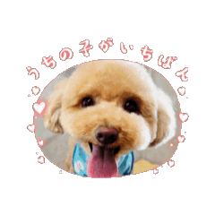 yuki_20250726120204