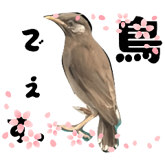 Asahi_20250724144153