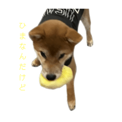 momoka_20250725162534