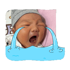 我可愛還不來看我嗎