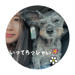 koto_20250725195300