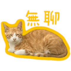 梧棲虎爺