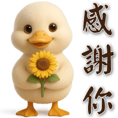 可愛白鴨-日常實用