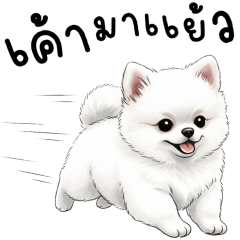 ชิโร่ปอม จอมซน