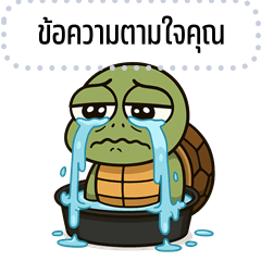 Message Stickers: Funny Turtle