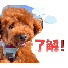 misaki_20250726005443