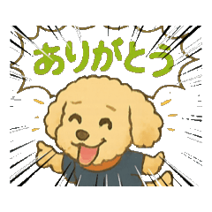R_dog(toipu)