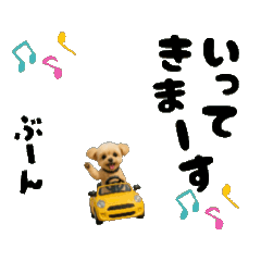 ポメプーひまわり②