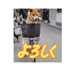 H_20250727081126