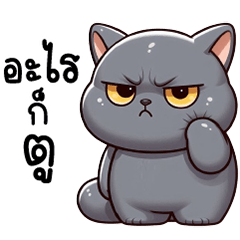 Gray cat, so cute and tense