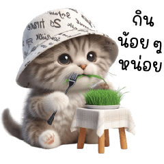 มะเหมียวหมวกขาวโนสนโนแคร์