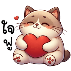 Siamese cat, so cute and tense