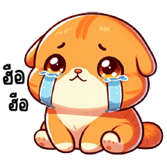 The cute and tense orange cat