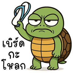 Funny Turtle (THAI)