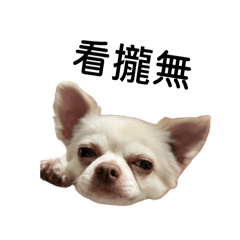 優格口愛表情包