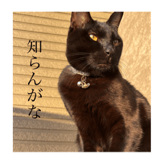 chimuchimu_20250725205727