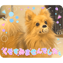 Tamago_20250725205652