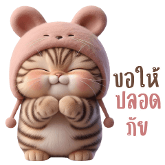 เหมียวหัวกะตุ่ย-น่ารัก