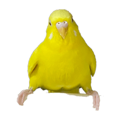 Emi_Mumu