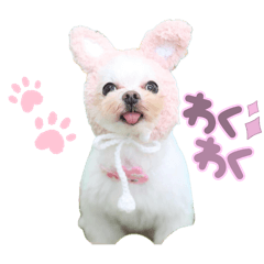 yuka_20250725212719