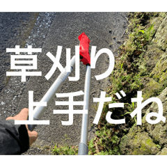 shirowani_20250723193736