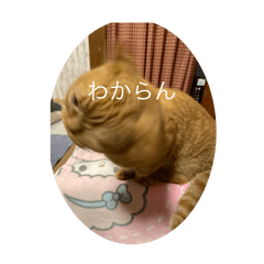 ohagi_20250726163156