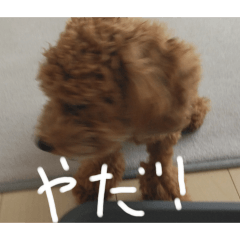 yuina_20250726104123