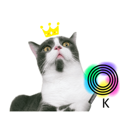 貓的日常-人的心聲