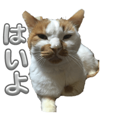 Shizuka,Osamu,Shizumaru