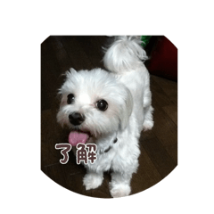 alohana_20250726184220