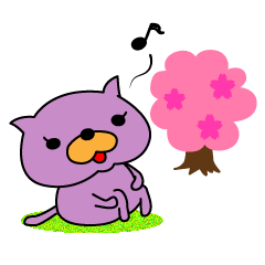 Lavender colored cat