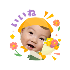 acane_20250726123046