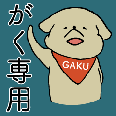 He name is Gaku. (Dog)