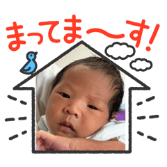MARI_20250726165343