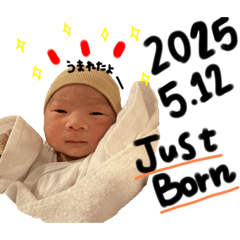 Nasuchan_20250726235036
