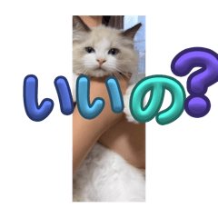 hinata_20250726134748