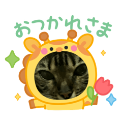 CHIHIRO_20250727131743