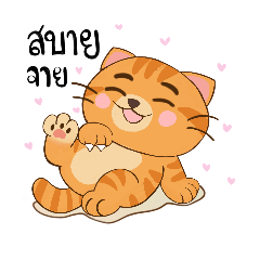 Gangเหมียวเหมียว