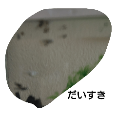 Smile_20250725173813