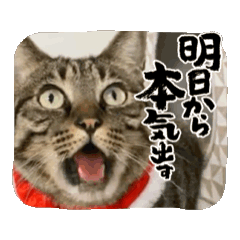 yumi_20250727123459
