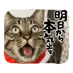 yumi_20250727123256