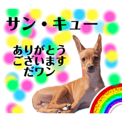 hiyoyo_20250725195810