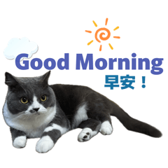 我是阿波 邱喵喵