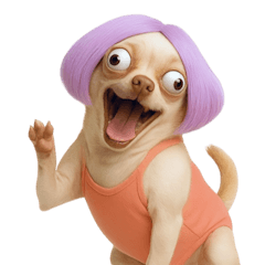 細肩帶吉娃娃 (NT)