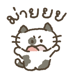 หัวกลมกับแมวน้อย