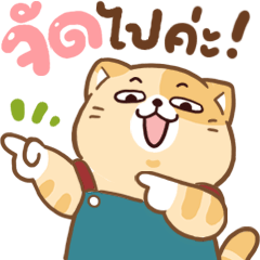 JIM cute cat : แม่ค้าออนไลน์ค่ะ