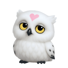 白色魔法貓頭鷹 (NT)