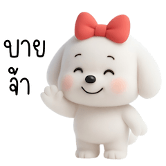 Cute white poodle, many emotions