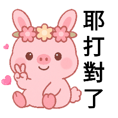 蜜豬兔1～請猜猜這是什麼花?